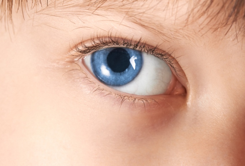 NPi: The Key to Measuring Pupil Dilation Velocity